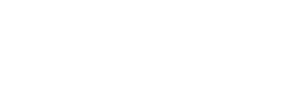 Настоящий Электронный Полис