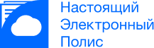 Настоящий Электронный Полис